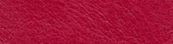 CERDO-FLOR-ROJO